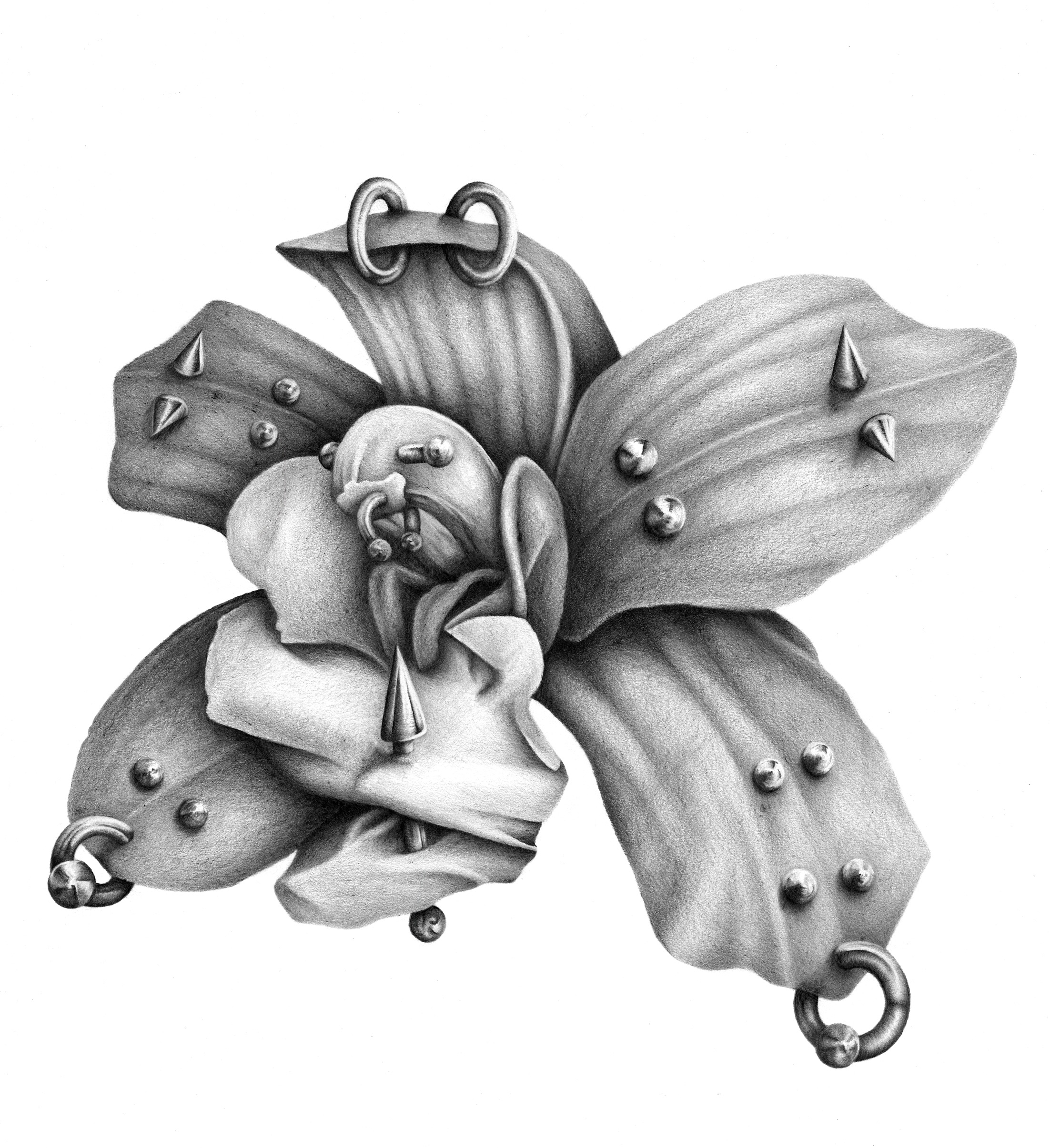 illustration of an orchid pierced by metal
