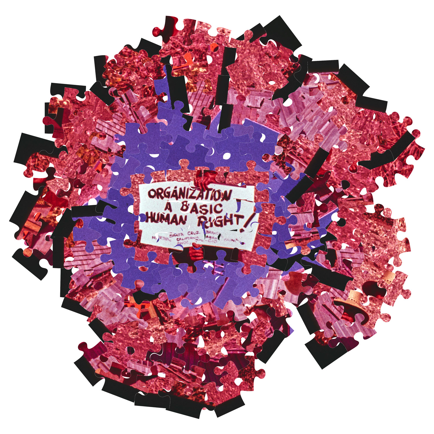 graphic illustration made of disassembled and reconstructed puzzles showing scenes of Bracero program workers in the shape of cacus flowers, at the center sits a poster that reads 'organization is a basic human right'